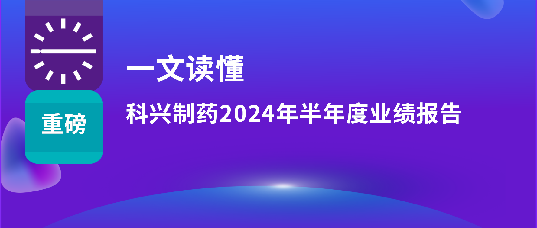 一文读懂 | 上半年营收利润双增长，海外销售同比增长33%